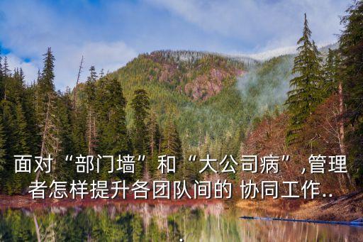 面對“部門墻”和“大公司病”,管理者怎樣提升各團隊間的 協(xié)同工作...