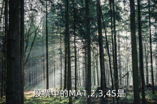 4s股票怎么設(shè)置,蘋(píng)果4s怎么重新設(shè)置ID
