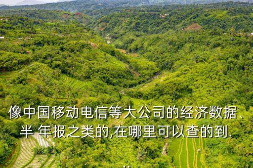 2004中國電信年報,中國電信半年報預(yù)測