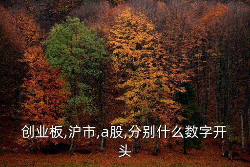 上海a股股票代碼,農(nóng)夫山泉a股股票代碼