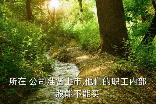 所在 公司準備上市,他們的職工內部股能不能買