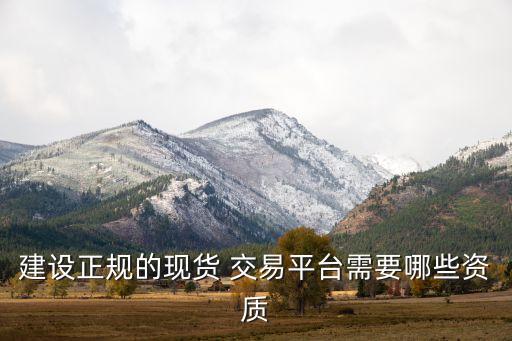 建設(shè)正規(guī)的現(xiàn)貨 交易平臺(tái)需要哪些資質(zhì)