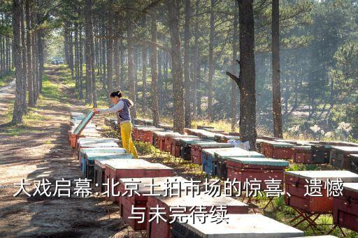 大戲啟幕:北京土拍市場的驚喜、遺憾與未完待續(xù)