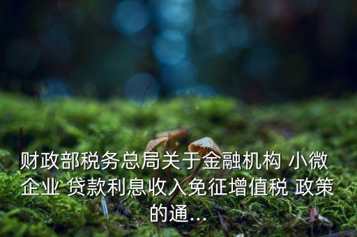 財政部稅務總局關于金融機構 小微 企業(yè) 貸款利息收入免征增值稅 政策的通...