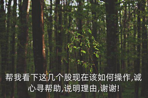 幫我看下這幾個(gè)股現(xiàn)在該如何操作,誠心尋幫助,說明理由,謝謝!