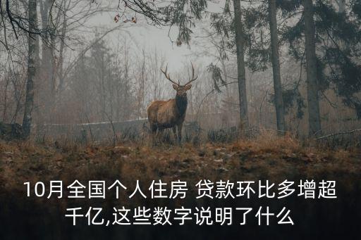 10月全國個人住房 貸款環(huán)比多增超千億,這些數字說明了什么