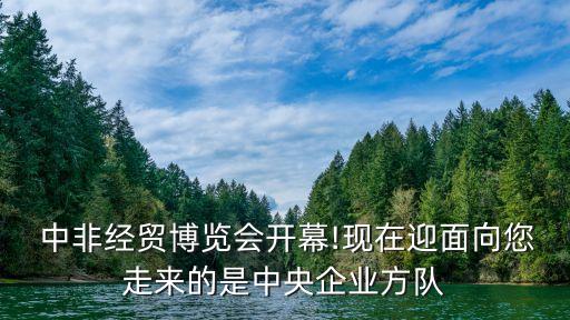 中國鐵建中非建設(shè)集團,中非國際建設(shè)集團