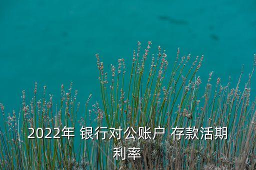 2022年 銀行對公賬戶 存款活期利率