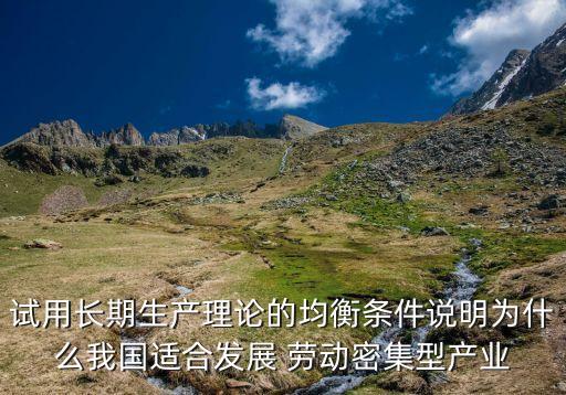 試用長期生產理論的均衡條件說明為什么我國適合發(fā)展 勞動密集型產業(yè)