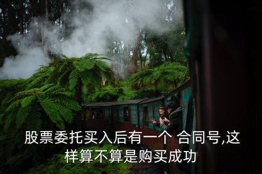  股票委托買(mǎi)入后有一個(gè) 合同號(hào),這樣算不算是購(gòu)買(mǎi)成功