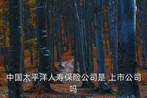 福投集團(tuán)整體上市,2023光大集團(tuán)整體上市
