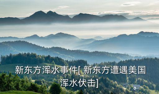  新東方渾水事件[ 新東方遭遇美國(guó)渾水伏擊]