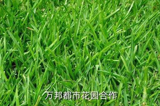  萬(wàn)邦都市花園合作