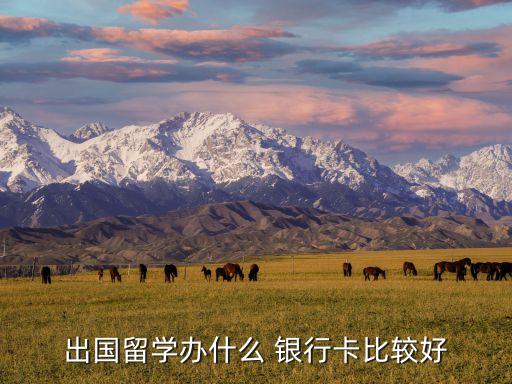 國外申請銀行卡,在國外怎么申請國內銀行卡