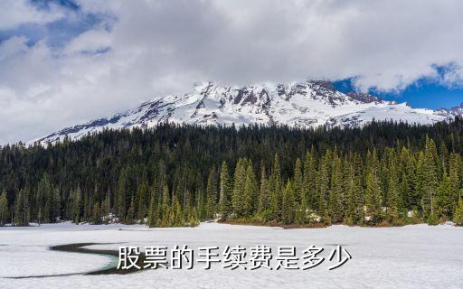  股票的手續(xù)費是多少