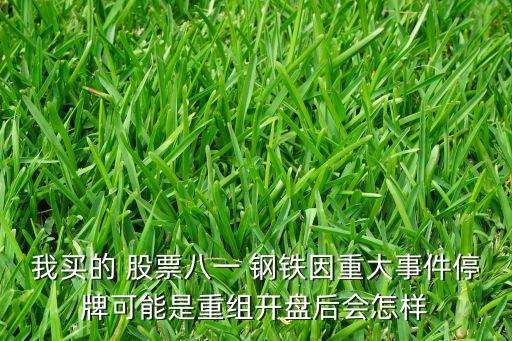我買(mǎi)的 股票八一 鋼鐵因重大事件停牌可能是重組開(kāi)盤(pán)后會(huì)怎樣
