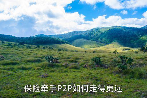 保險牽手P2P如何走得更遠