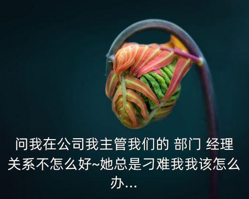 中國(guó)銀行女部門經(jīng)理態(tài)度差