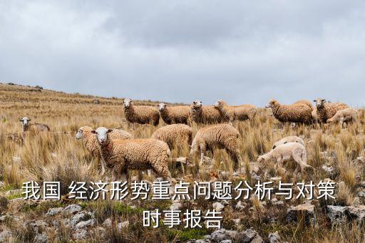 我國 經(jīng)濟(jì)形勢重點(diǎn)問題分析與對(duì)策 時(shí)事報(bào)告