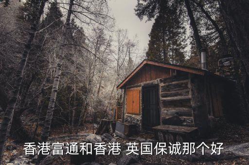 香港富通和香港 英國(guó)保誠(chéng)那個(gè)好