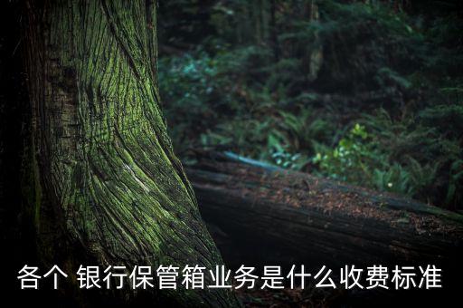 各個 銀行保管箱業(yè)務是什么收費標準