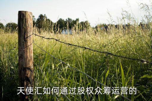  天使匯如何通過(guò)股權(quán)眾籌運(yùn)營(yíng)的