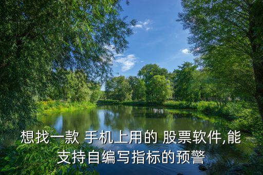 想找一款 手機上用的 股票軟件,能支持自編寫指標的預(yù)警
