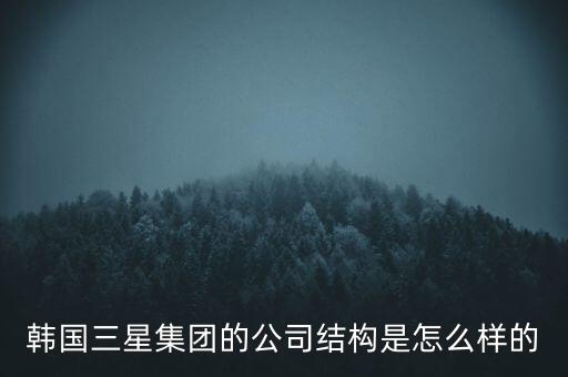 韓國三星集團(tuán)的公司結(jié)構(gòu)是怎么樣的