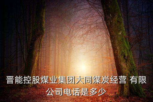 晉能控股煤業(yè)集團大同煤炭經(jīng)營 有限公司電話是多少