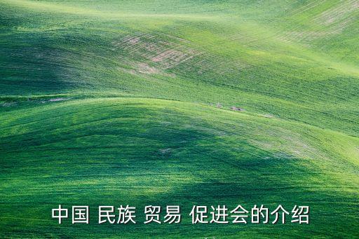 中國(guó)民族貿(mào)易促進(jìn)會(huì)鄭秋濤
