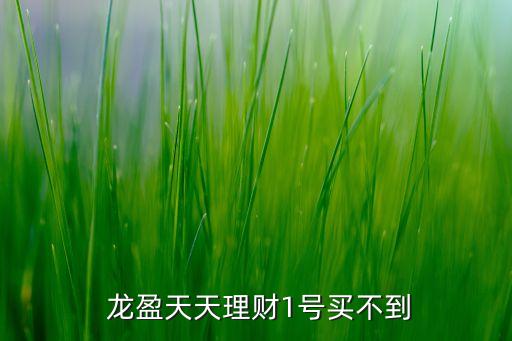  龍盈天天理財(cái)1號(hào)買(mǎi)不到