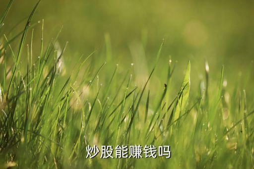  炒股能賺錢嗎