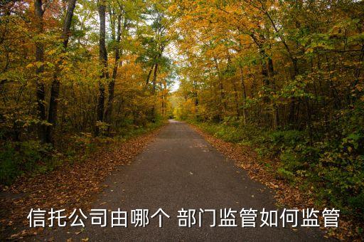 信托公司風險管理部門職責,風險管理哪個部門職責是人員排查的