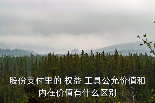 股份支付里的 權(quán)益 工具公允價值和內(nèi)在價值有什么區(qū)別