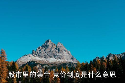 什么叫股票競價(jià)