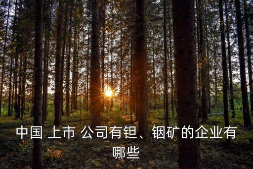 中國 上市 公司有鉭、銦礦的企業(yè)有哪些