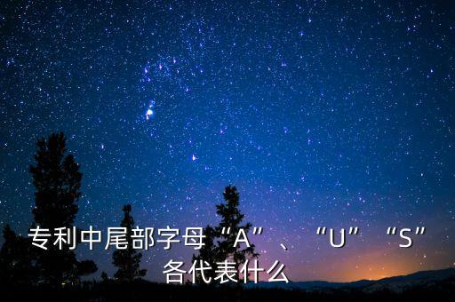 專利中尾部字母“A”、“U”“S”各代表什么