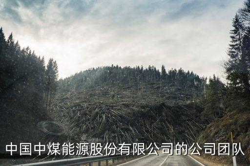 神華集團財務(wù)報表