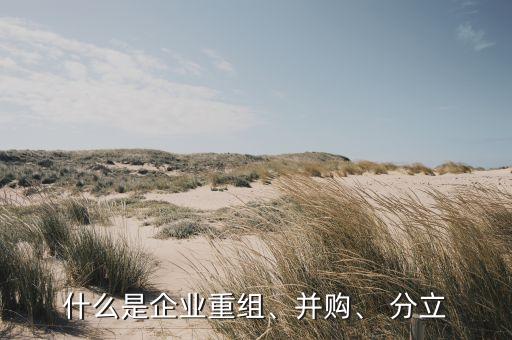 什么是企業(yè)重組、并購(gòu)、 分立
