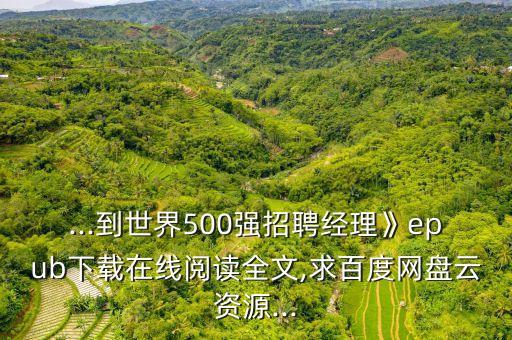 ...到世界500強招聘經(jīng)理》epub下載在線閱讀全文,求百度網(wǎng)盤云資源...
