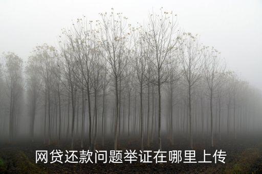 北京互聯(lián)網金融協(xié)會