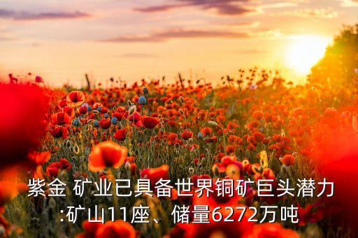  紫金 礦業(yè)已具備世界銅礦巨頭潛力:礦山11座、儲量6272萬噸