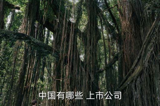 中國(guó)有哪些 上市公司