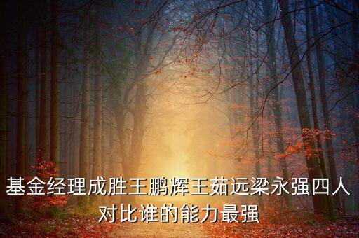 基金經(jīng)理成勝王鵬輝王茹遠(yuǎn)梁永強(qiáng)四人對比誰的能力最強(qiáng)