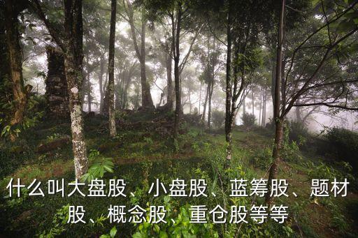 什么叫大盤股、小盤股、藍籌股、題材股、概念股、重倉股等等