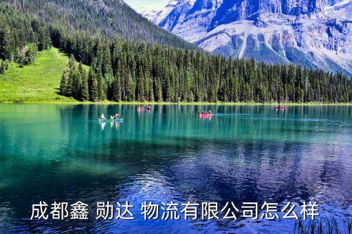 成都鑫 勛達 物流有限公司怎么樣