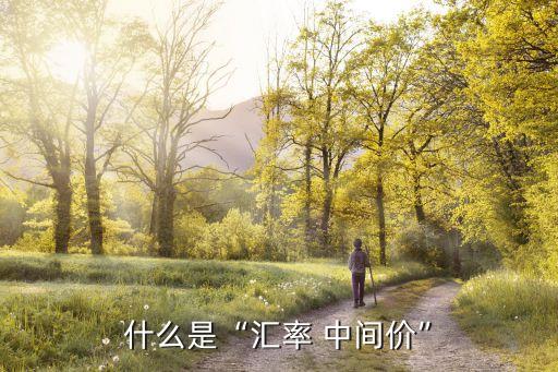 銀行的外匯買(mǎi)入價(jià)是根據(jù)人民銀行中間價(jià)