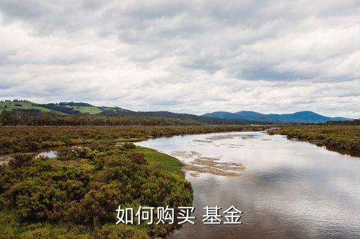 匯添富保本基金怎么買(mǎi)