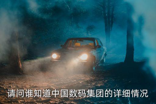請(qǐng)問誰知道中國(guó)數(shù)碼集團(tuán)的詳細(xì)情況