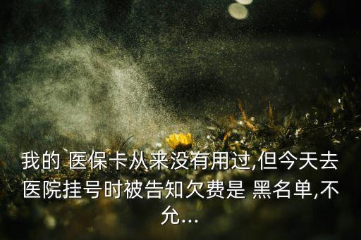 我的 醫(yī)?？◤膩頉]有用過,但今天去醫(yī)院掛號(hào)時(shí)被告知欠費(fèi)是 黑名單,不允...